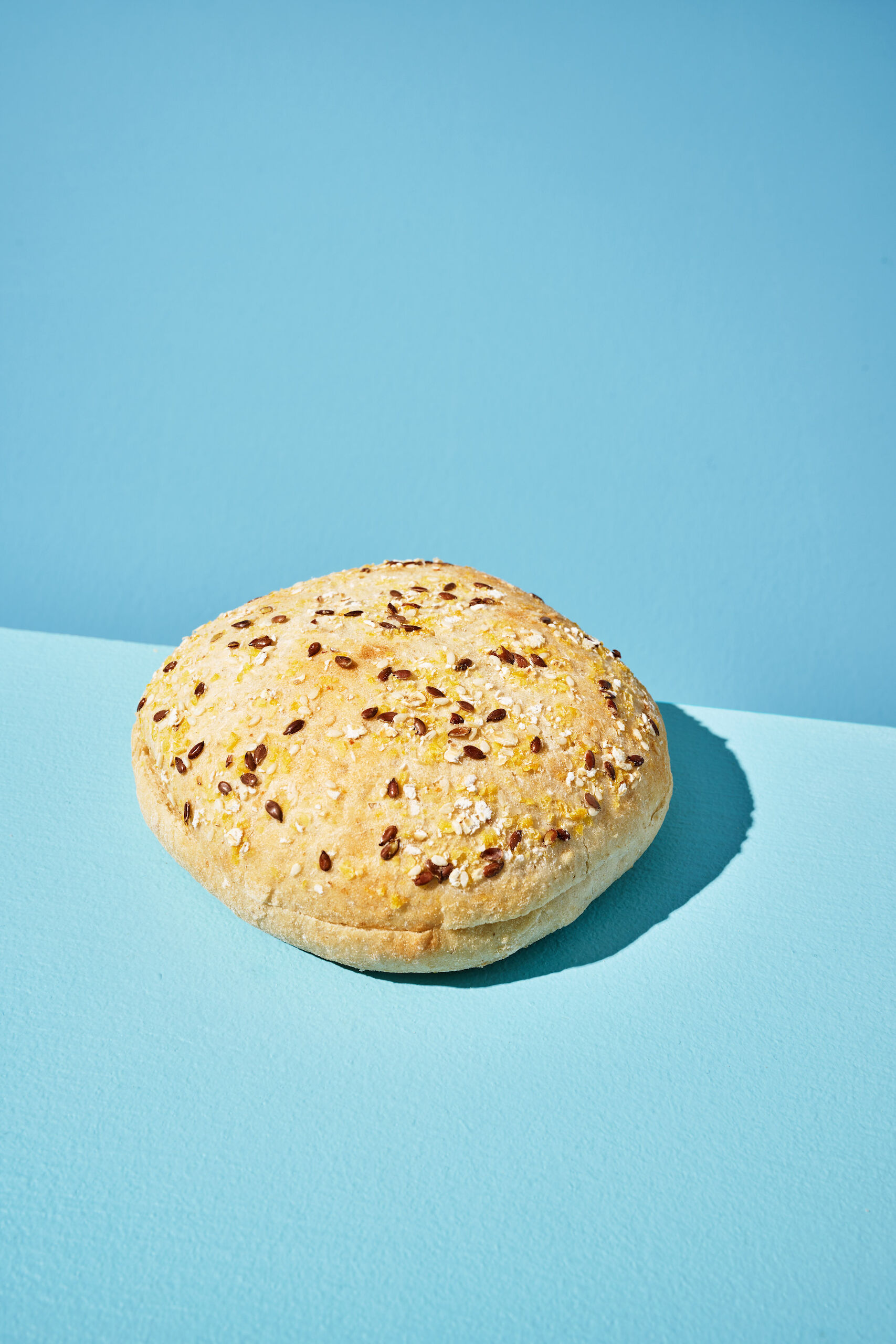 223954_SKYR_HAMBURGER_BUN_CLOSE-UP