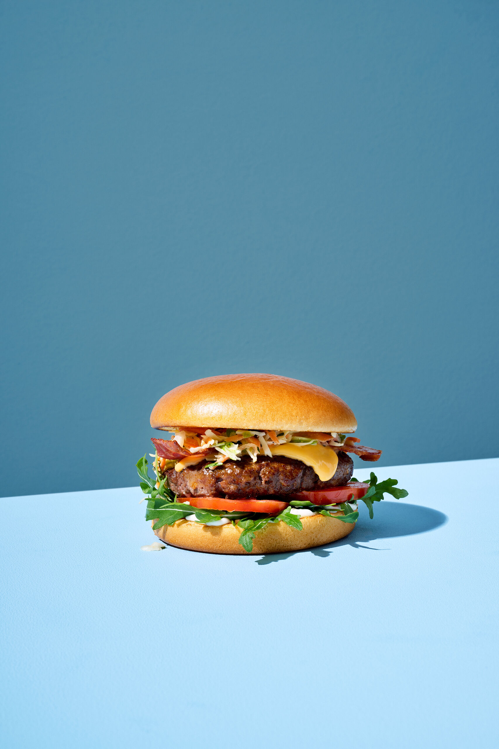 226426_BRIOCHE-STYLE-HAMBURGER-BUN_PACKSHOT_Staand_v1