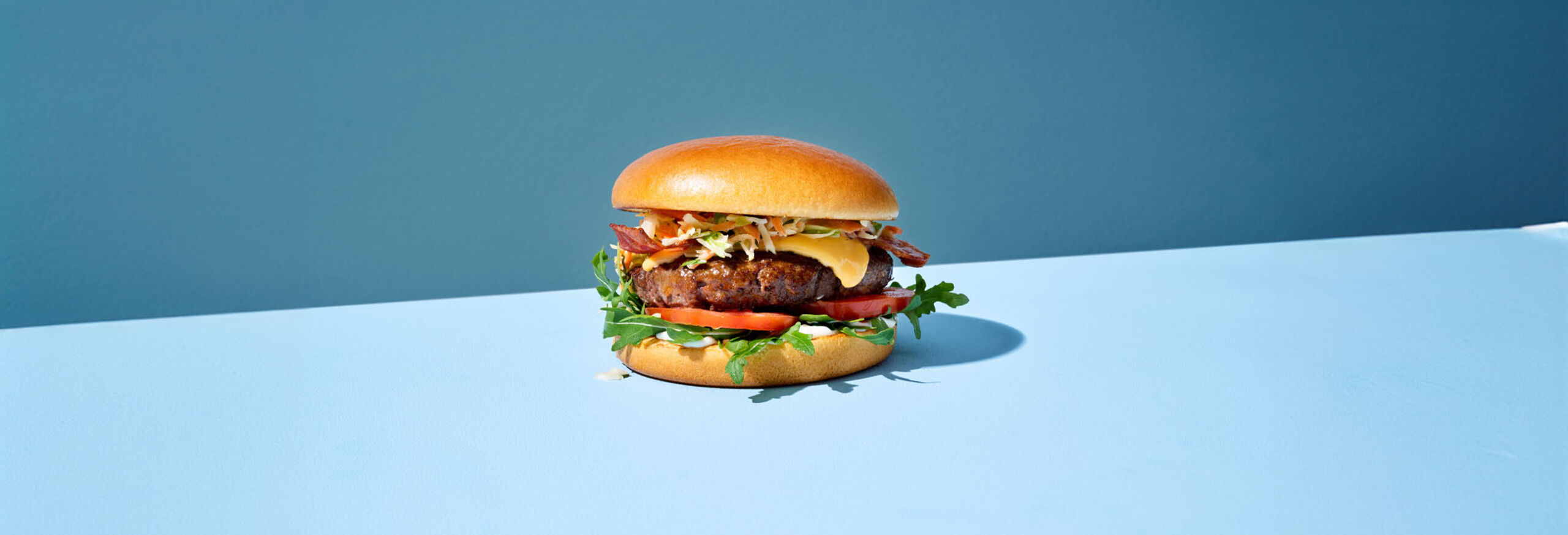 226426_Moodfoto_Brioche Style Hamburger Bun