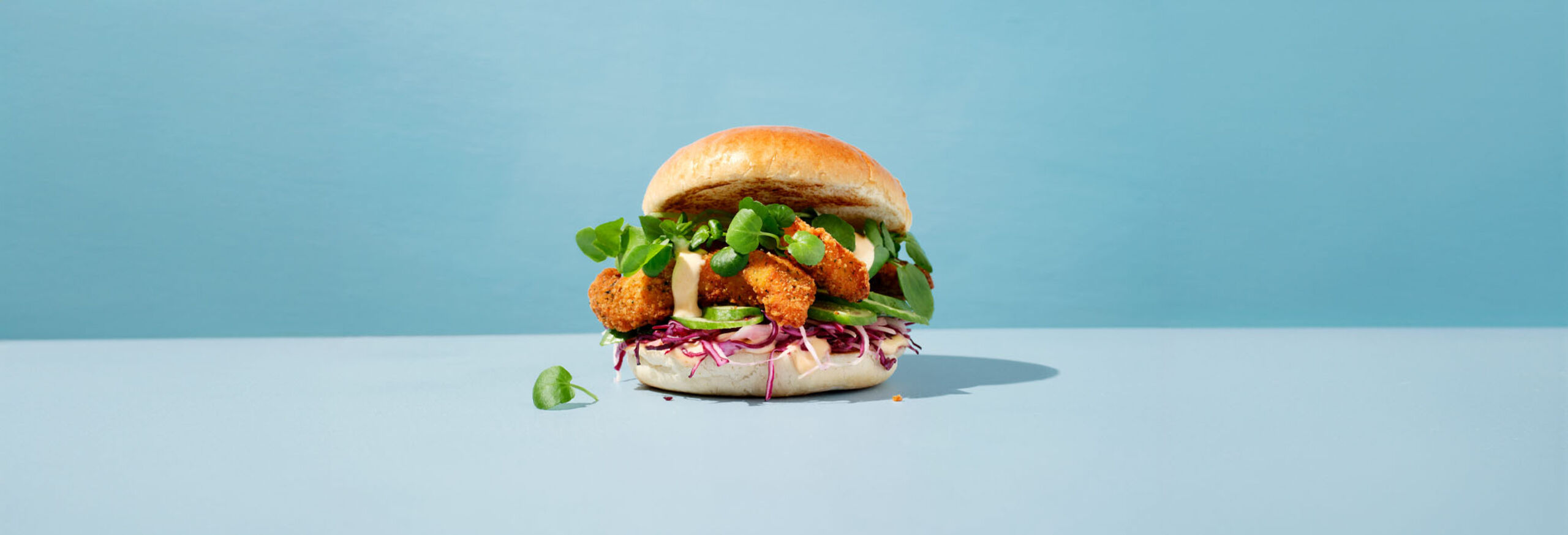 26840001_Moodfoto_Premium Brioche Hamburger Bun