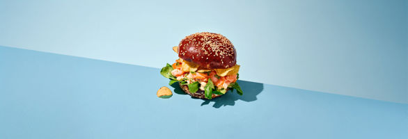 225387_Moodfoto_Pretzel Sesam Hamburger Bun